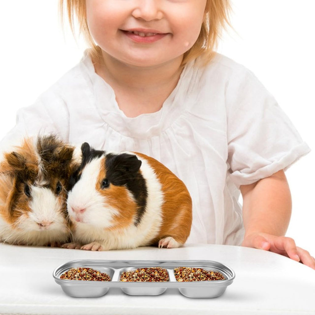Stainless Multi-Grid Divided Feeding Tray 2 Pack E216