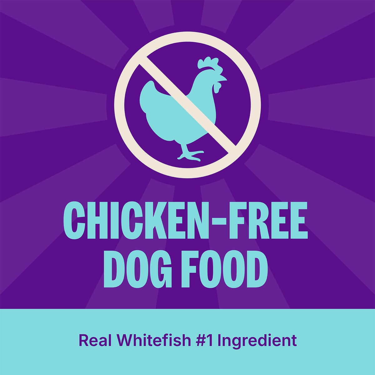 Dry Dog Food Whitefish and Brown Rice 4 lb Bag E622418