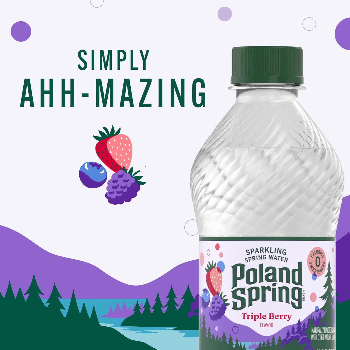 Sparkling Bottled Water 33.8 Fl Oz U3749