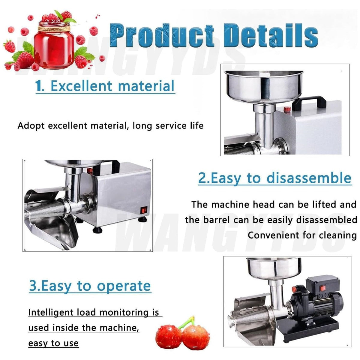 450W Stainless Steel Electric Tomato Strainer B492