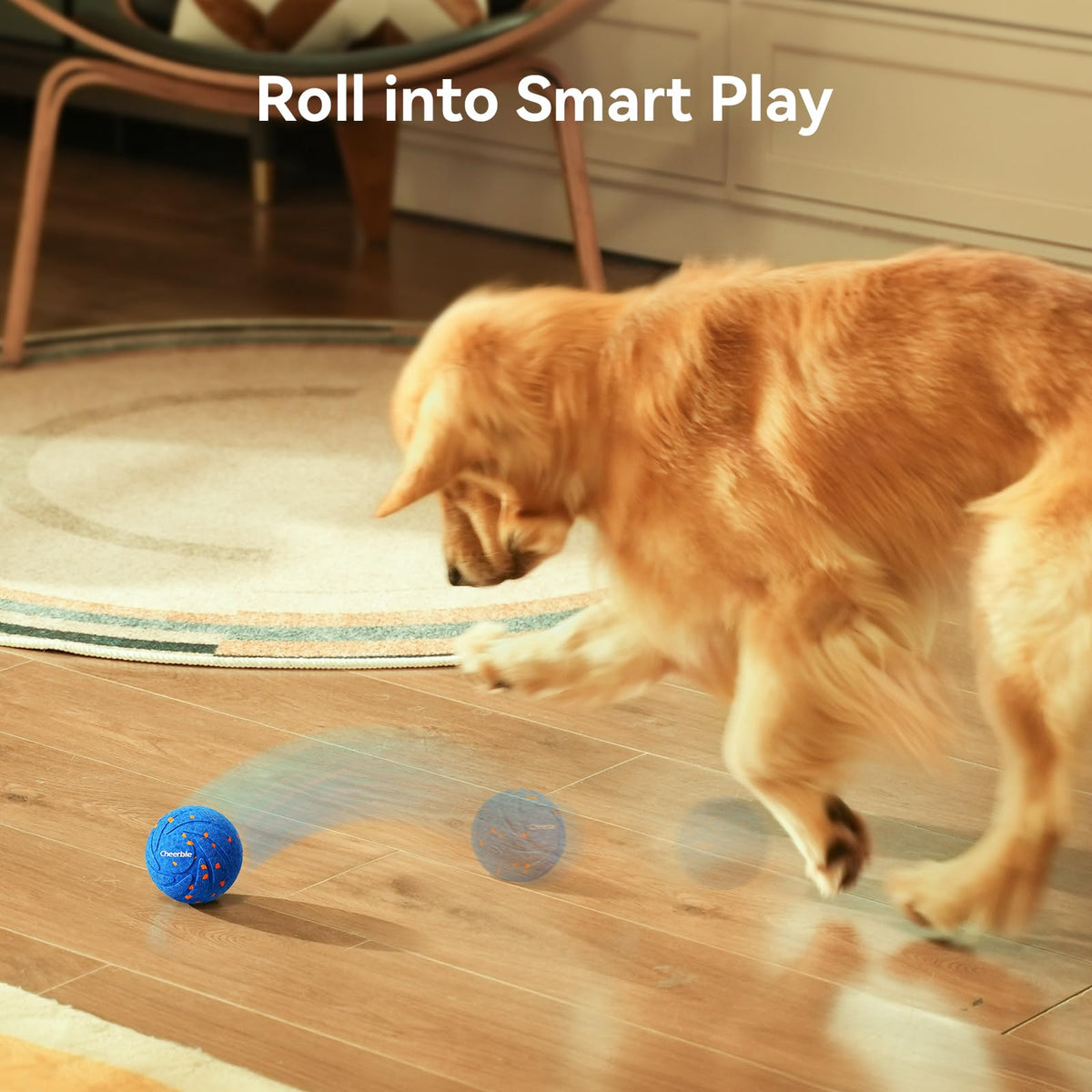 Interactive Dog Toy Y169