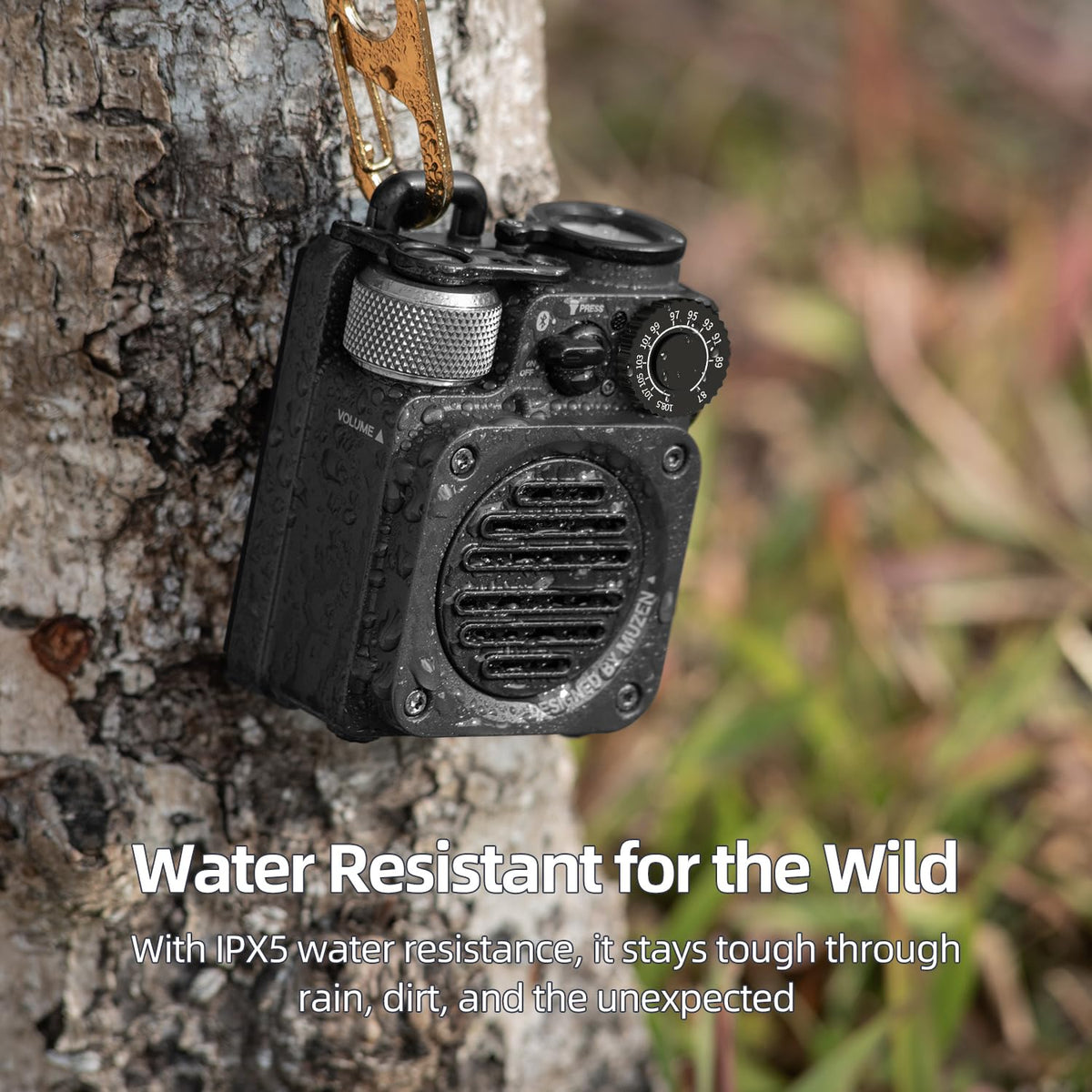 Portable Wireless Bluetooth Speaker with FM Radio D1614