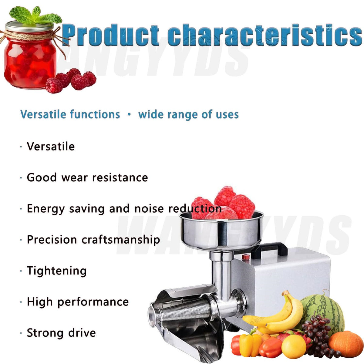 450W Stainless Steel Electric Tomato Strainer B492