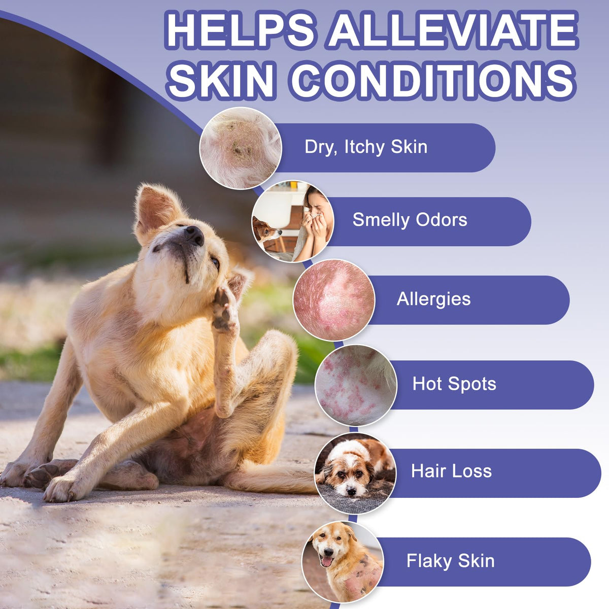 Medicated Dog Shampoo with 2% Miconazole & 2% Chlorhexidine 17 oz G7455