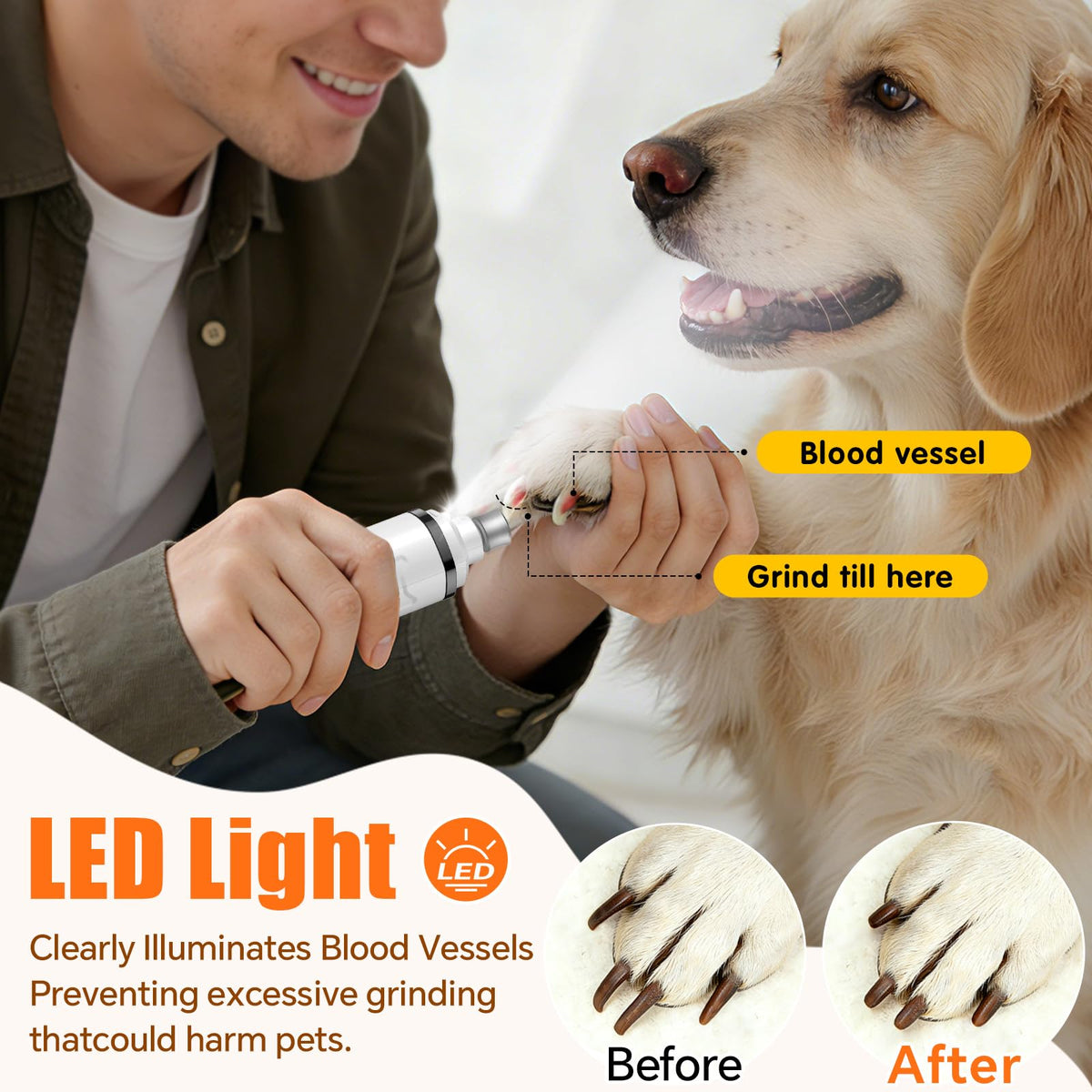 Electric 3 Speeds Dog Nail Grinder with Lights D80144