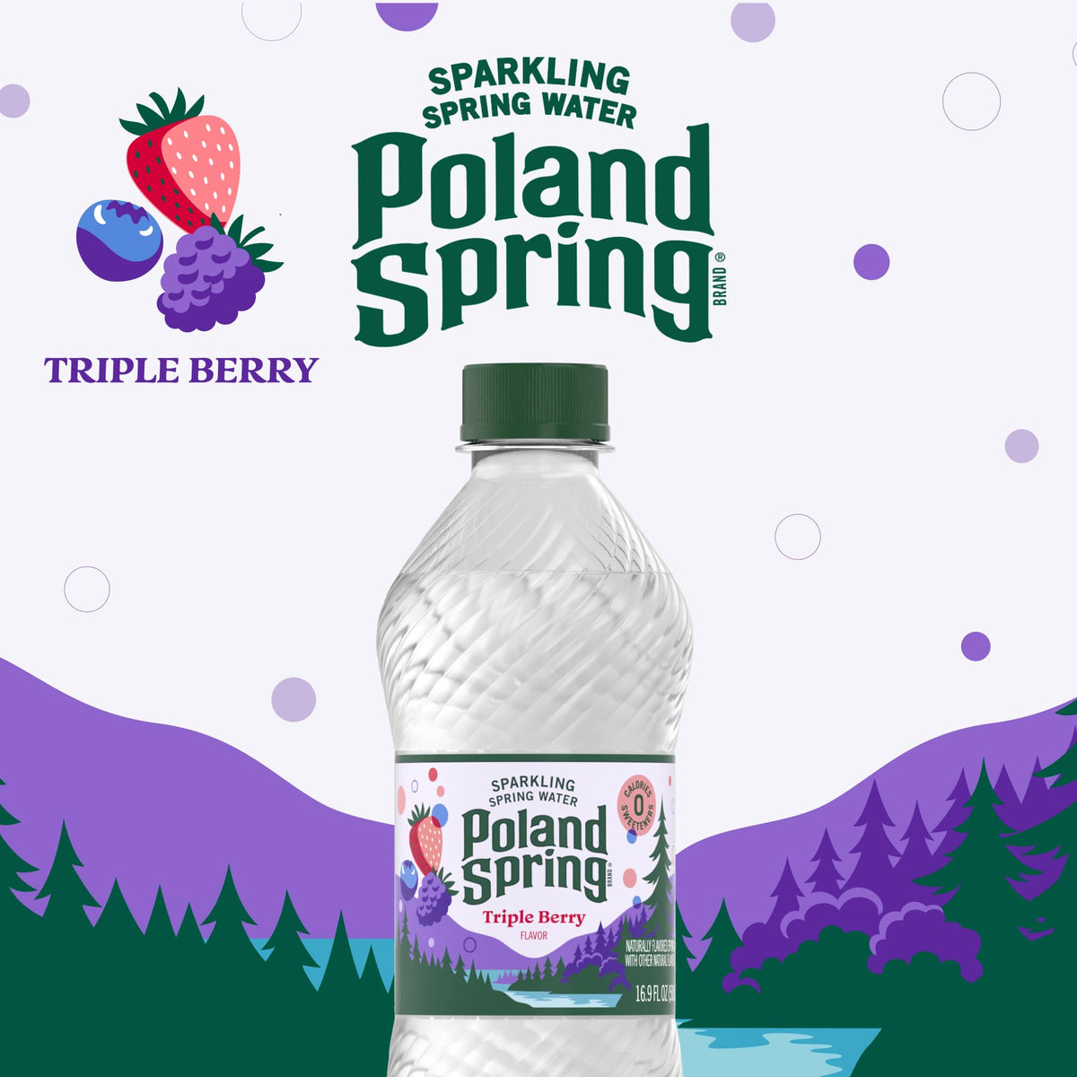Sparkling Bottled Water 33.8 Fl Oz U3749