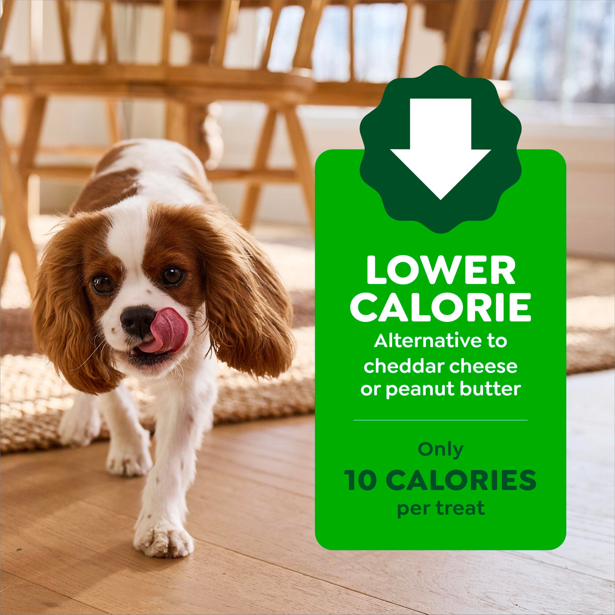 Chicken Flavor Small Dog Treats 3.2 oz U619