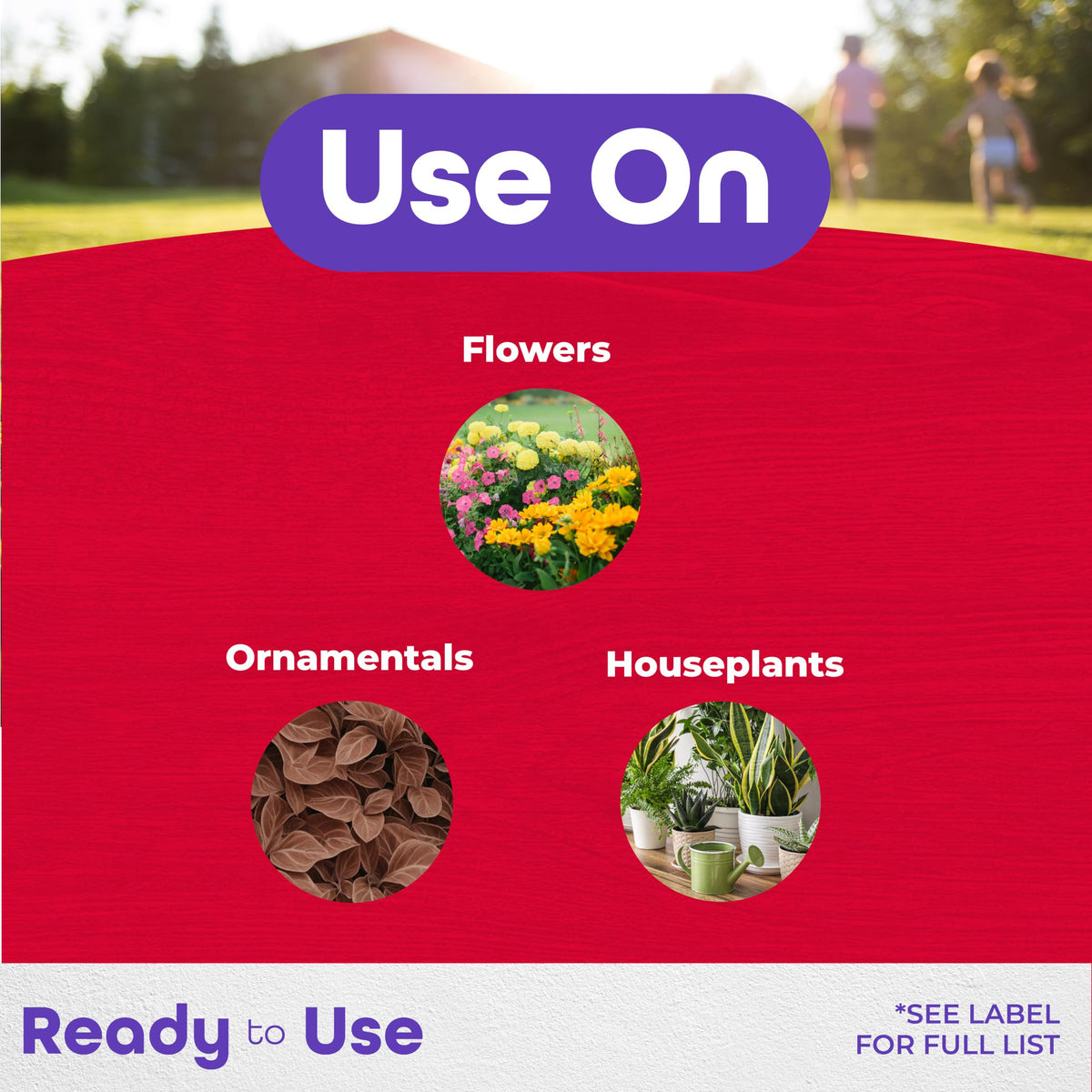 Insect Control Systemic Granules 4 lbs A1852