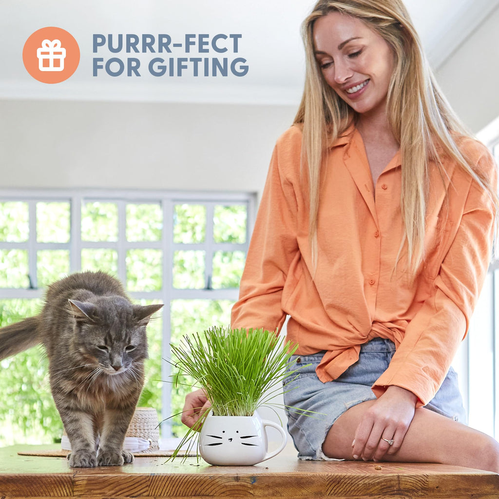 Organic Cat Grass Growing Kit with Seed Mix Soil and White Planter X484