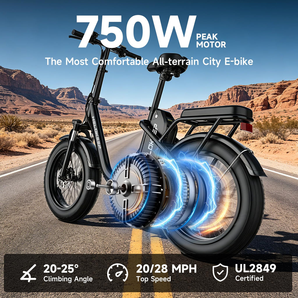 Folding Electric Bike with Rear Rack T3983