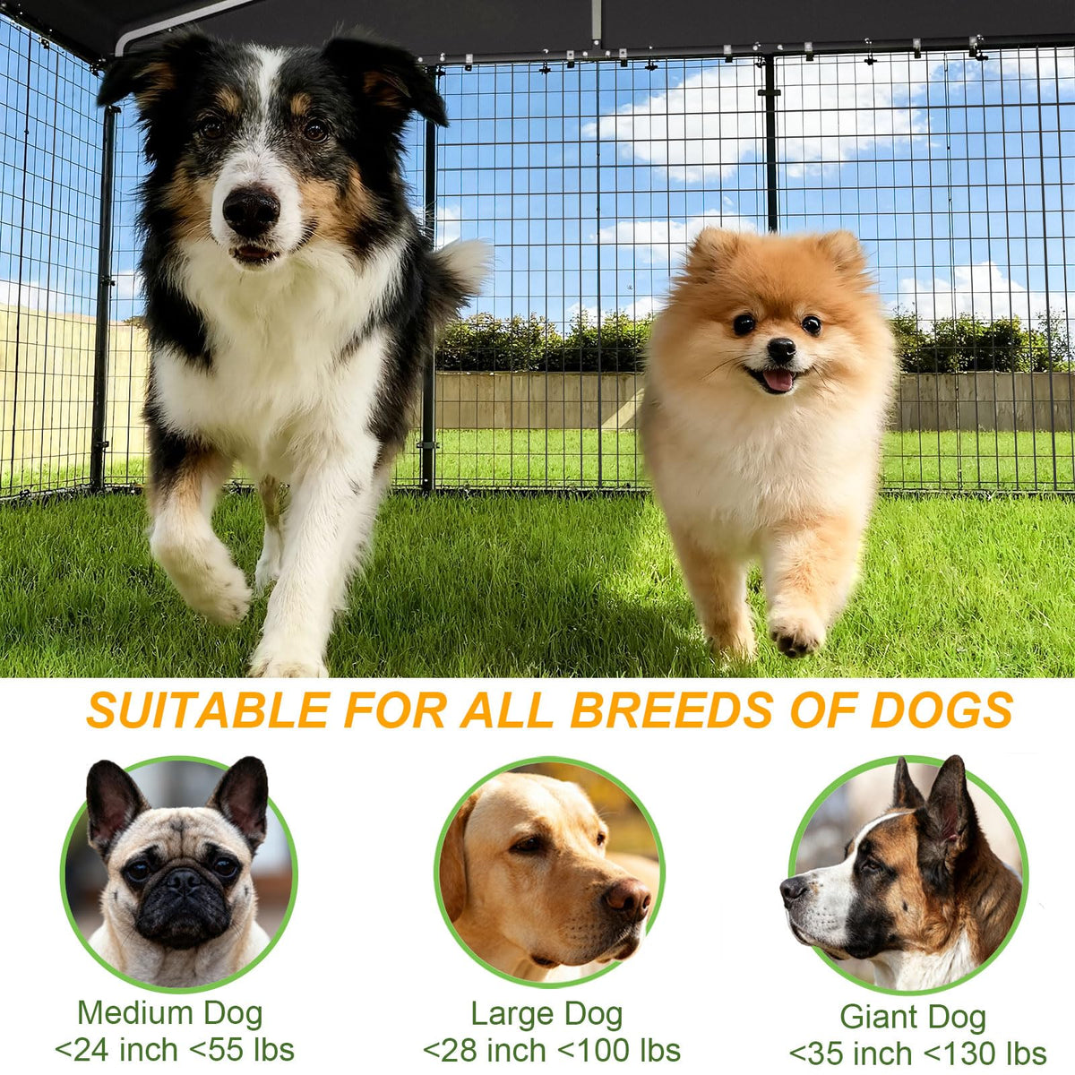 10 x 10 x 6 FT Outdoor Dog Kennel K9453