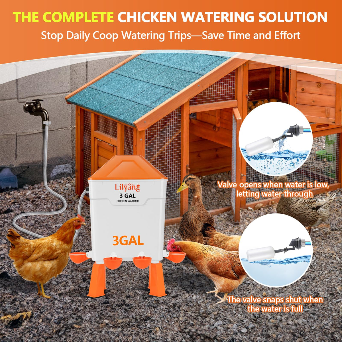 3 Gallon Automatic Chicken Waterer & Feeder Set F229777