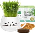 Organic Cat Grass Growing Kit with Seed Mix Soil and White Planter X484