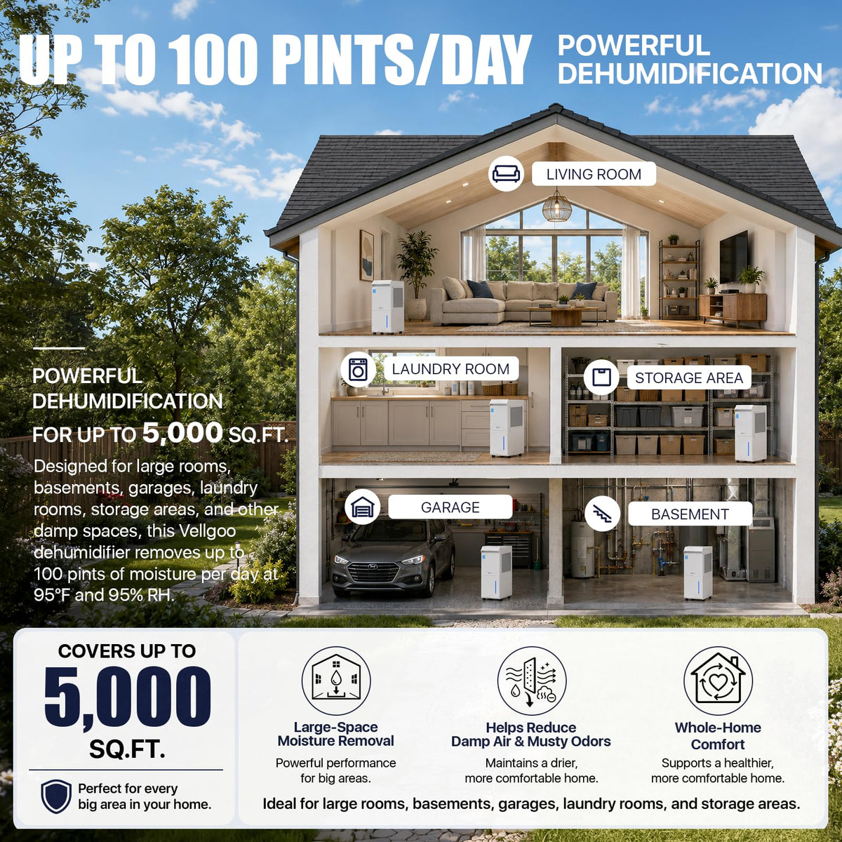 100 Pint/Day Dehumidifier Q76411