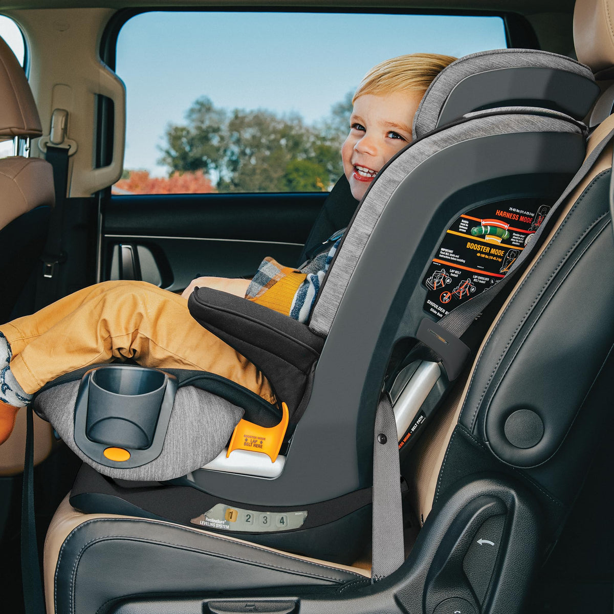 5-Point Harness High Back Booster Car Seat Y434